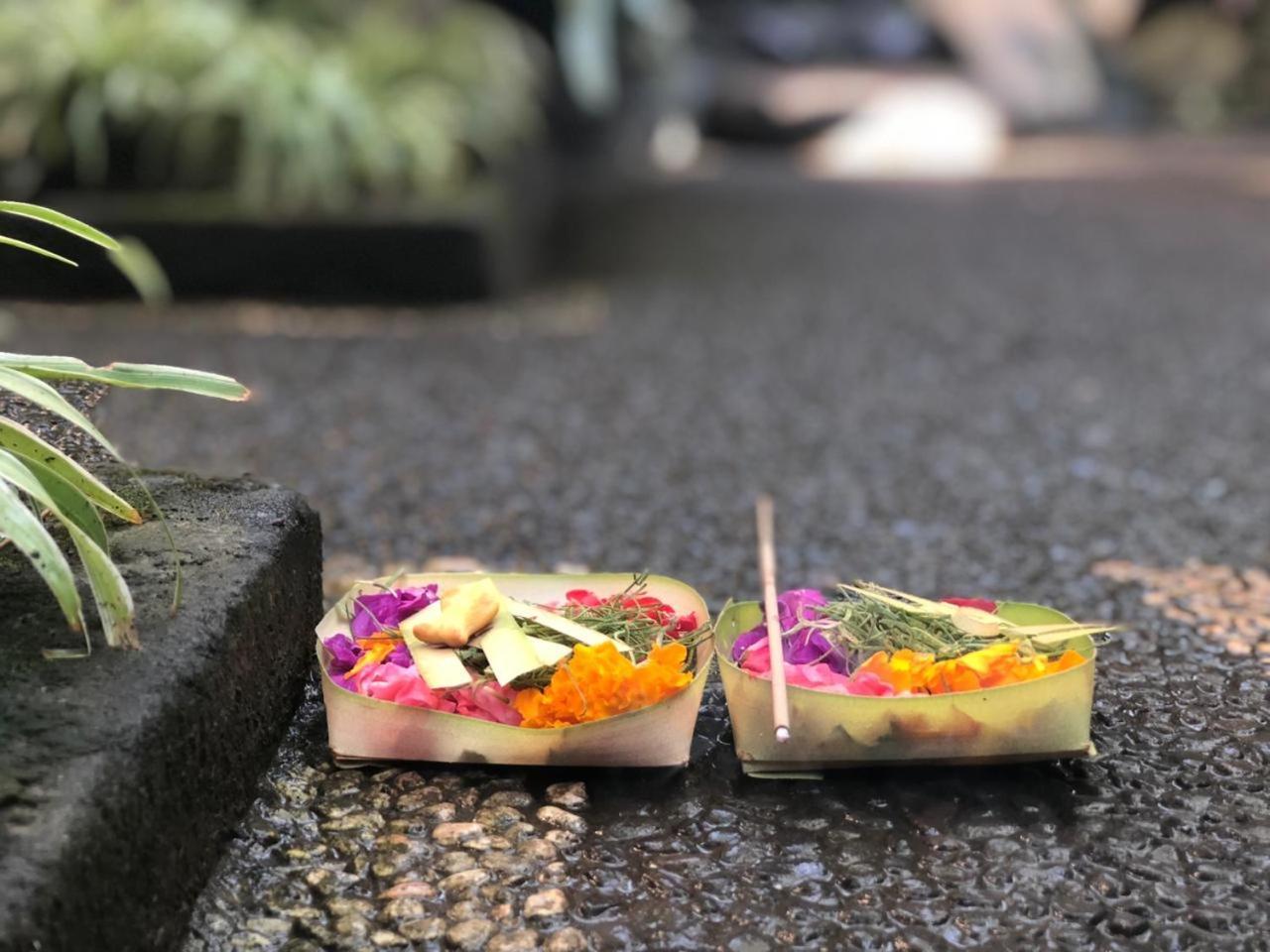 Depa House Hotel Ubud Kültér fotó